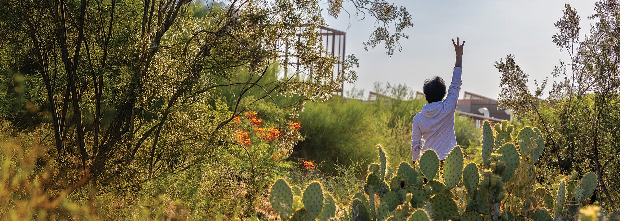  Person in gray hoodie making peace sign amidst lush greenery with cactus plants, orange flowers, and modern buildings in the background.